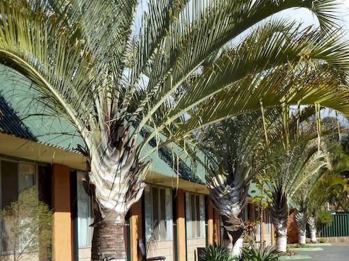 The Miners Rest Motel Kalgoorlie Bagian luar foto